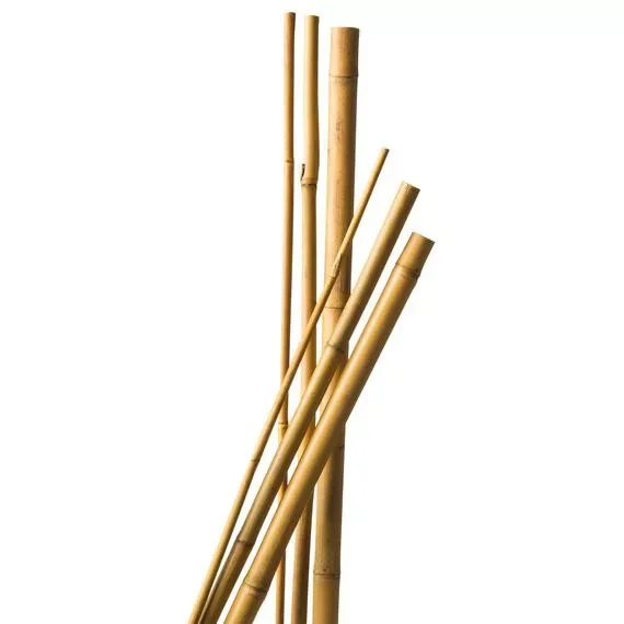 Végkiárusítás bambusz növénytámasz 5 db, d10-12mm 120 cm natúr
