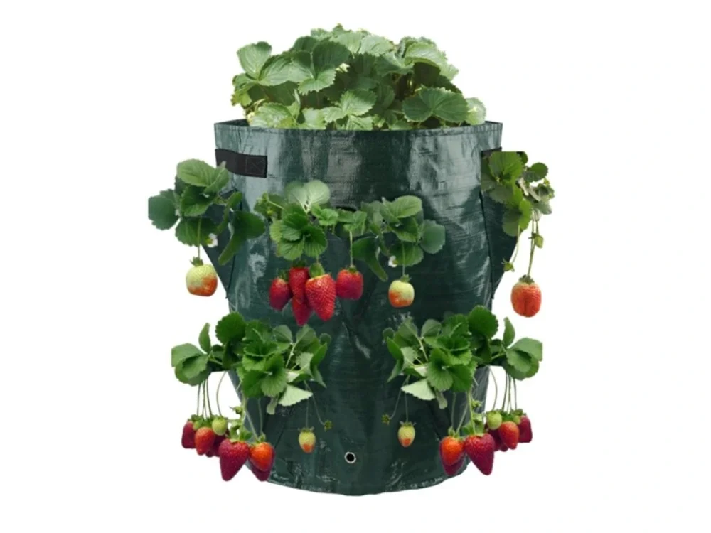 Outlet APT AG691A Eper ültető táska, 33 cm