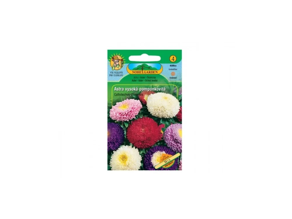 Bestseller Astra kínai magas pom-pom alakú, mix