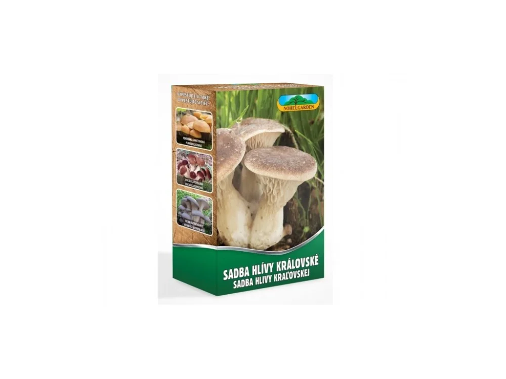 Azonnal elérhető Királygomba 250ml