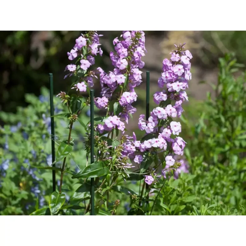 Korlátozott ajánlat Nature műanyag virágtámasz 60cm, 8mm (6040120)